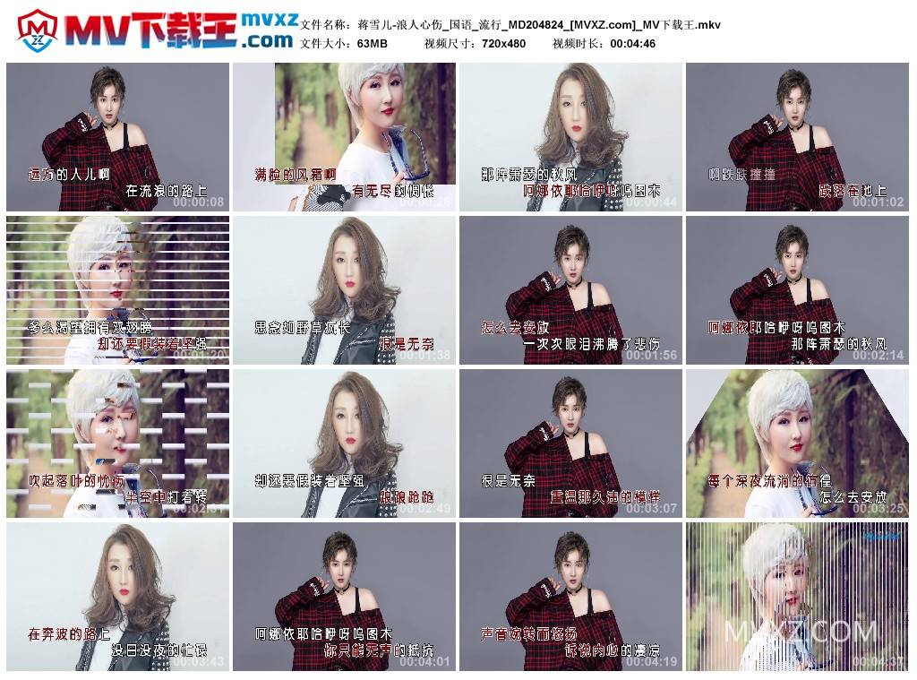 蒋雪儿-浪人心伤_国语_流行_MD204824